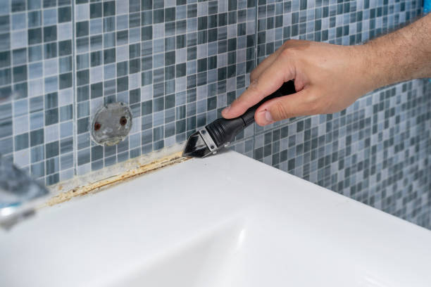 Best Same-Day Mold Removal  in Byron, GA