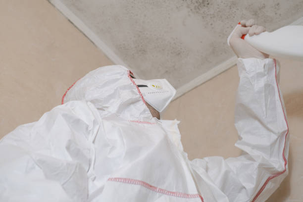 Best Mold Remediation  in Byron, GA