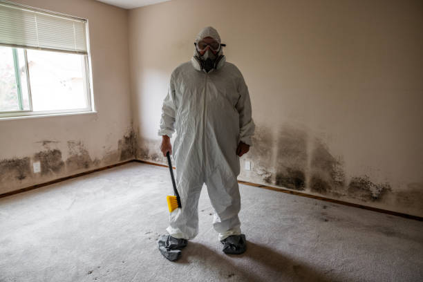 Best Office Mold Removal Services  in Byron, GA
