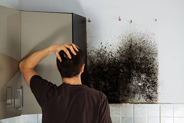 Best Office Mold Removal Services  in Byron, GA